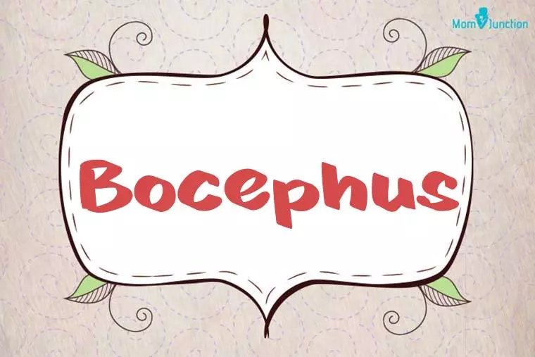 Bocephus Stylish Wallpaper