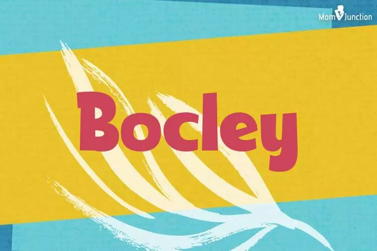 Bocley Stylish Wallpaper