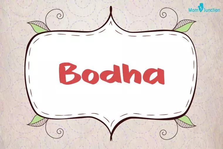 Bodha Stylish Wallpaper