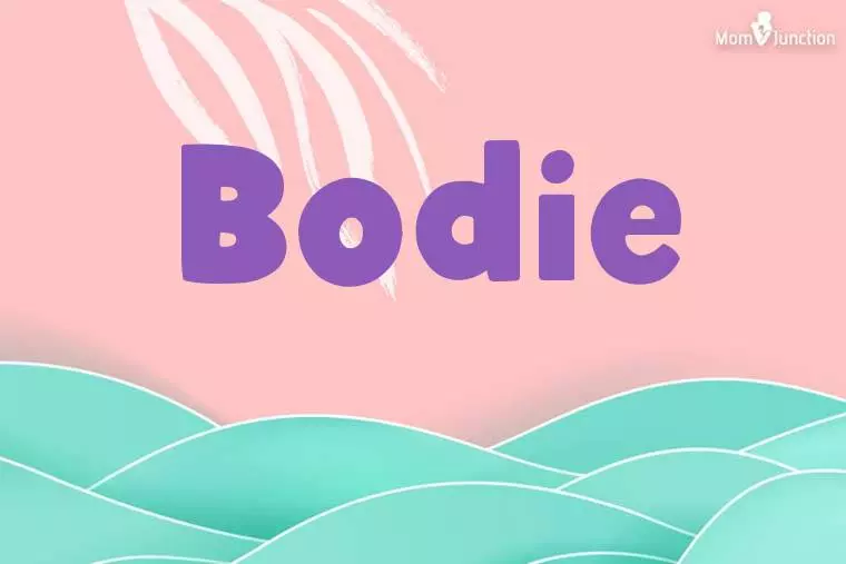 Bodie Stylish Wallpaper