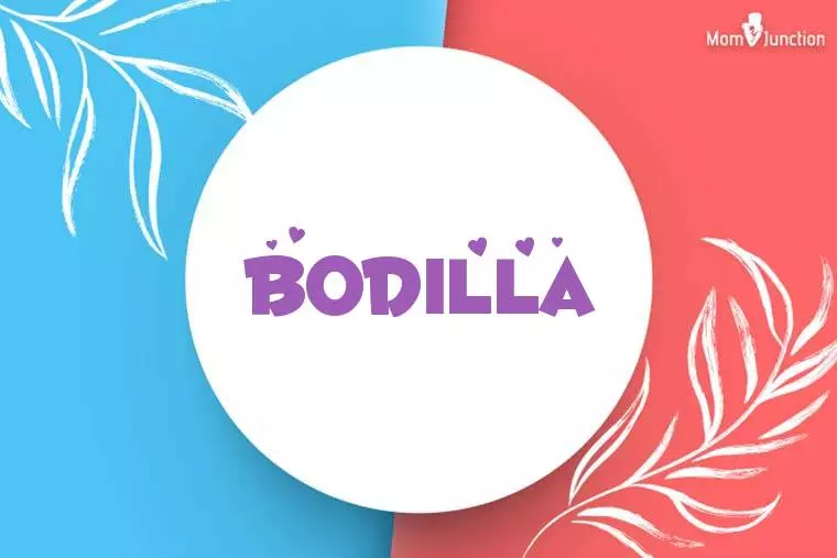 Bodilla Stylish Wallpaper