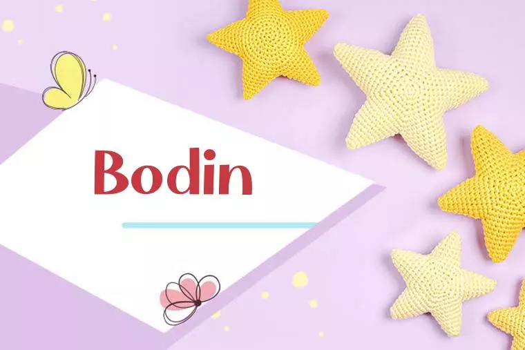 Bodin Stylish Wallpaper