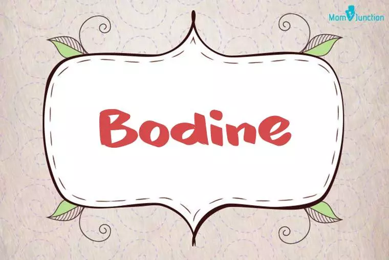 Bodine Stylish Wallpaper