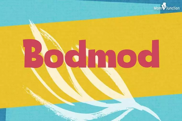 Bodmod Stylish Wallpaper