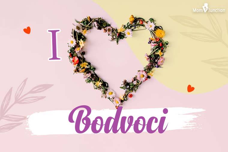 I Love Bodvoci Wallpaper