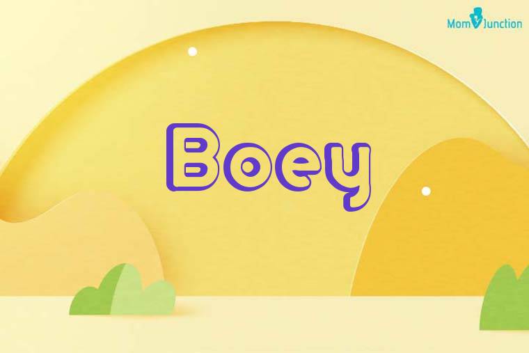 Boey 3D Wallpaper