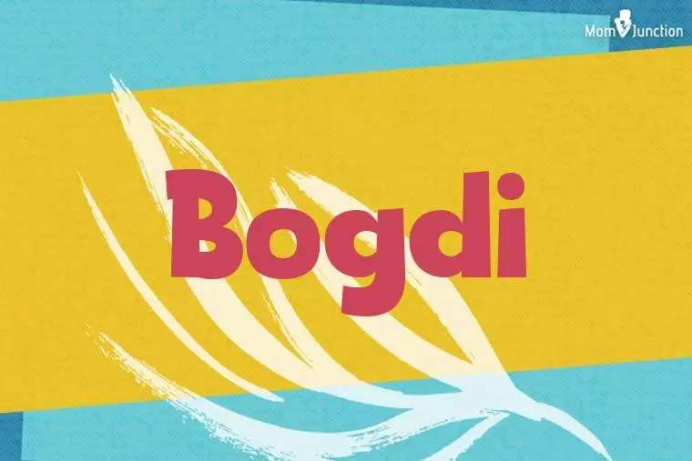 Bogdi Stylish Wallpaper