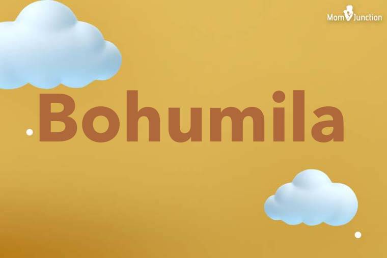 Bohumila 3D Wallpaper