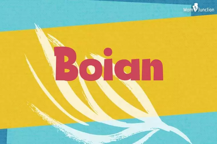 Boian Stylish Wallpaper