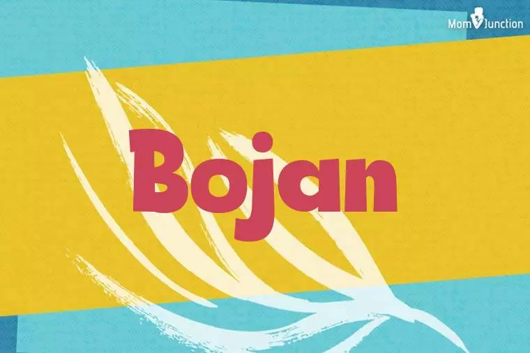 Bojan Stylish Wallpaper