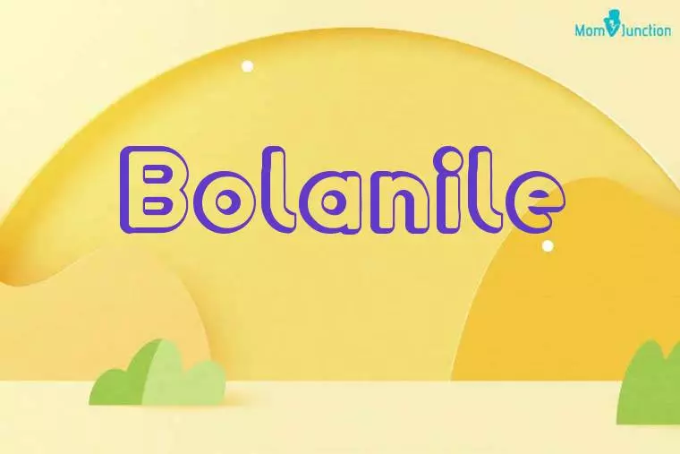 Bolanile 3D Wallpaper