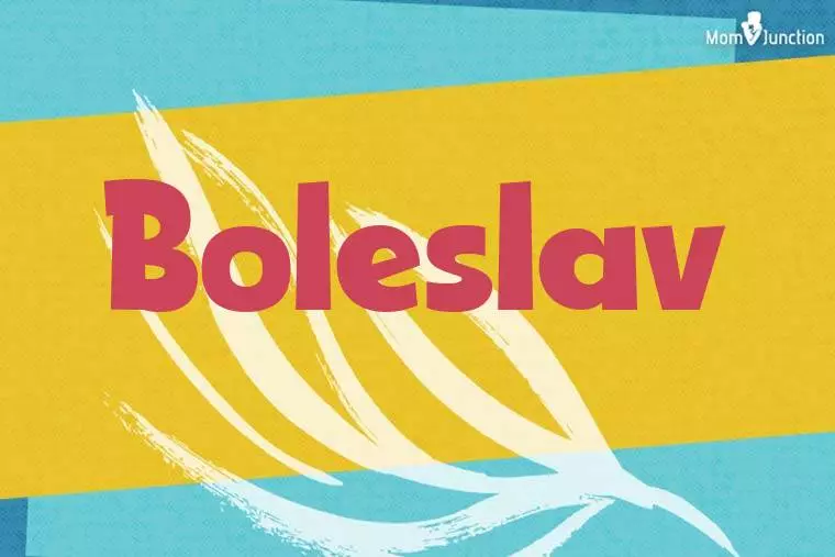 Boleslav Stylish Wallpaper