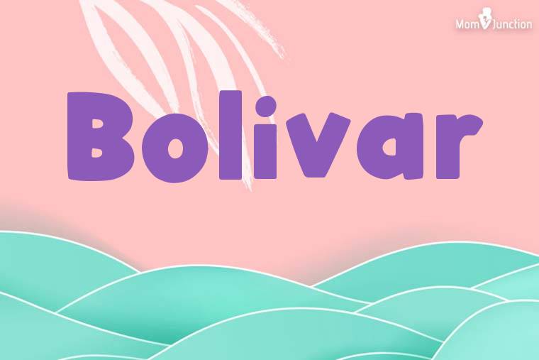 Bolivar Stylish Wallpaper