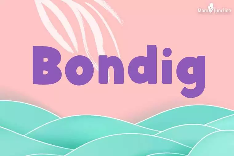 Bondig Stylish Wallpaper