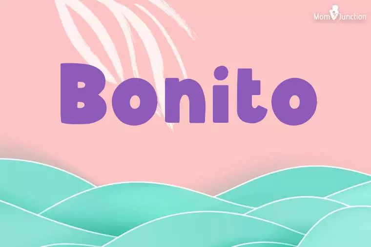 Bonito Stylish Wallpaper