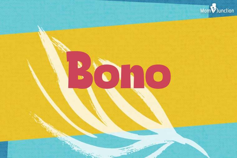 Bono Stylish Wallpaper