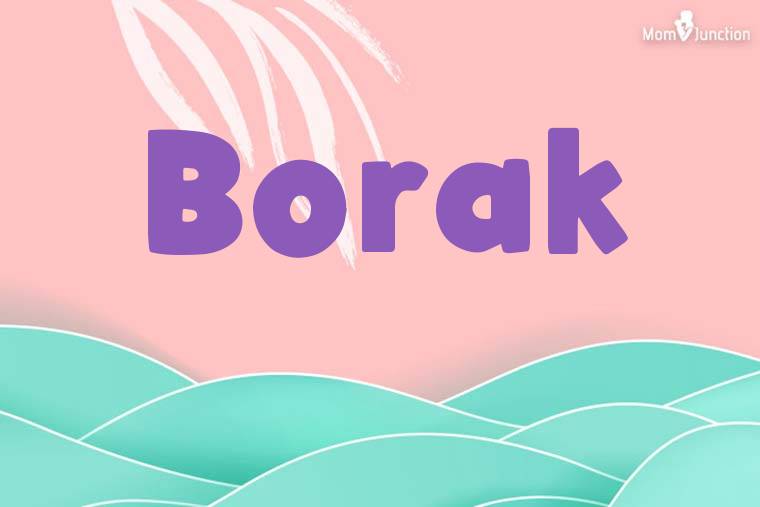 Borak Stylish Wallpaper