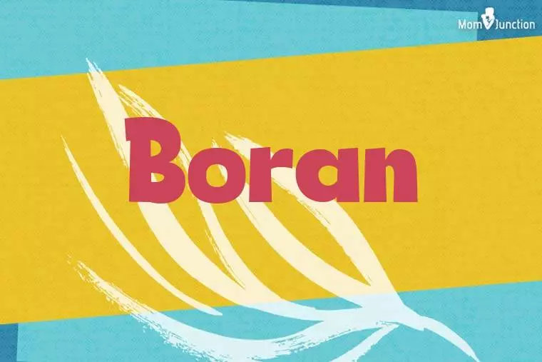 Boran Stylish Wallpaper