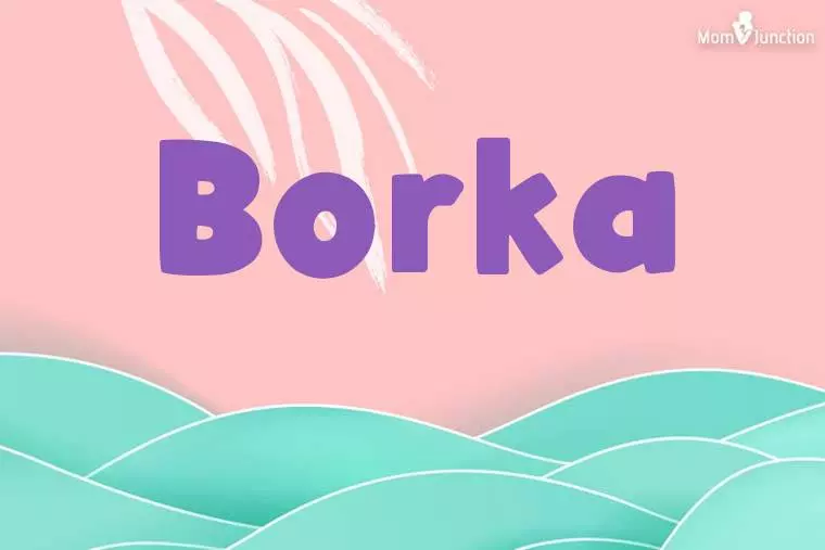 Borka Stylish Wallpaper