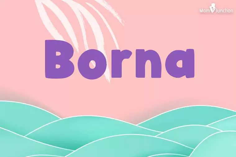 Borna Stylish Wallpaper