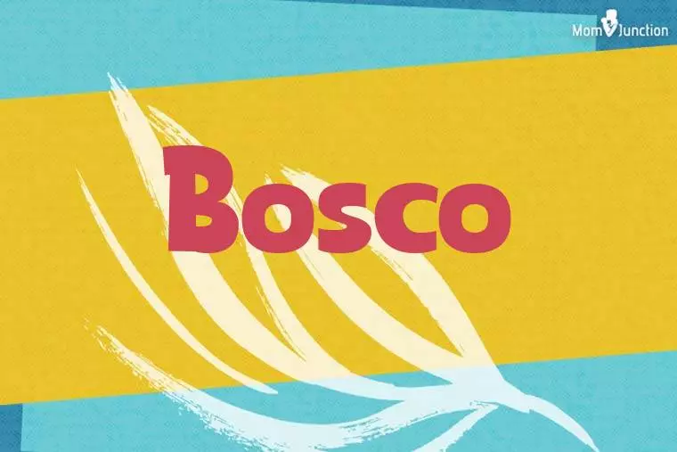 Bosco Stylish Wallpaper