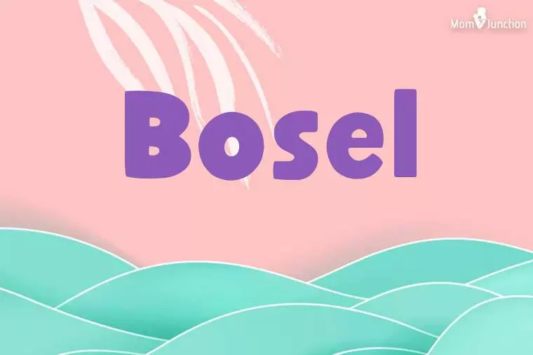 Bosel Stylish Wallpaper