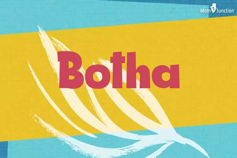 Botha Stylish Wallpaper