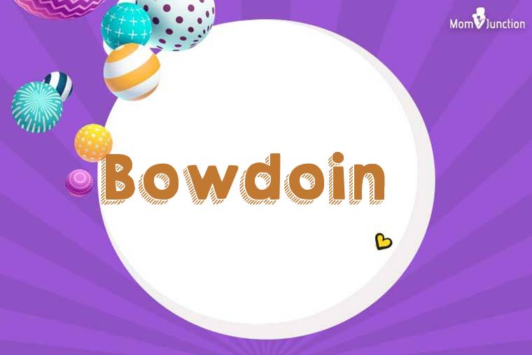 Bowdoin 3D Wallpaper