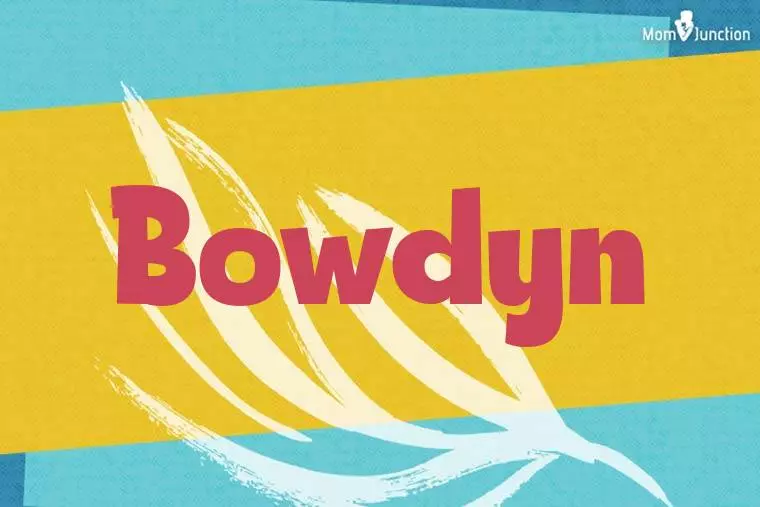 Bowdyn Stylish Wallpaper