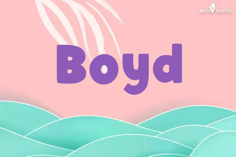 Boyd Stylish Wallpaper