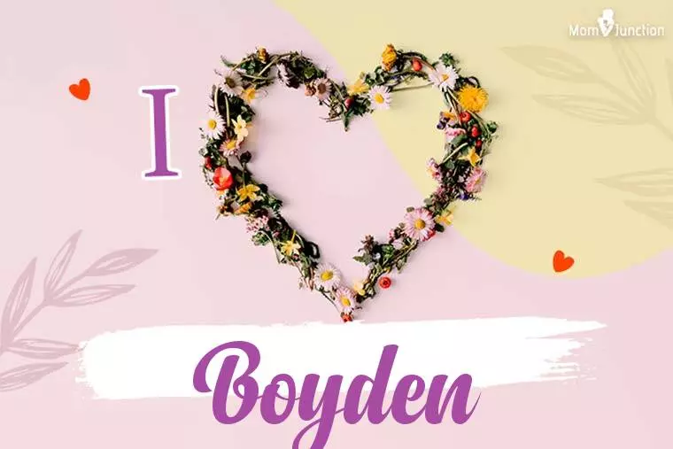 I Love Boyden Wallpaper