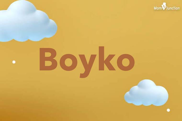 Boyko 3D Wallpaper