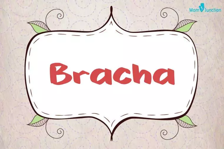 Bracha Stylish Wallpaper