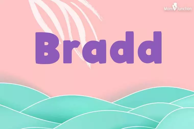 Bradd Stylish Wallpaper