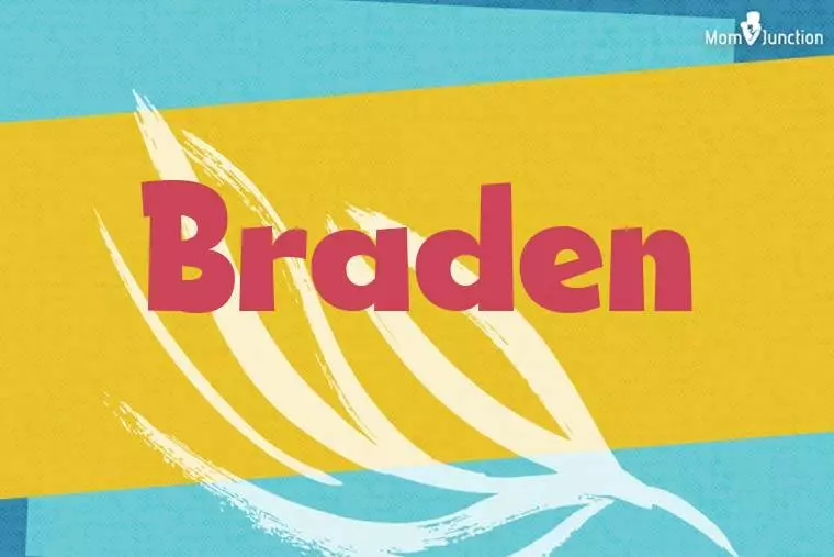 Braden Stylish Wallpaper