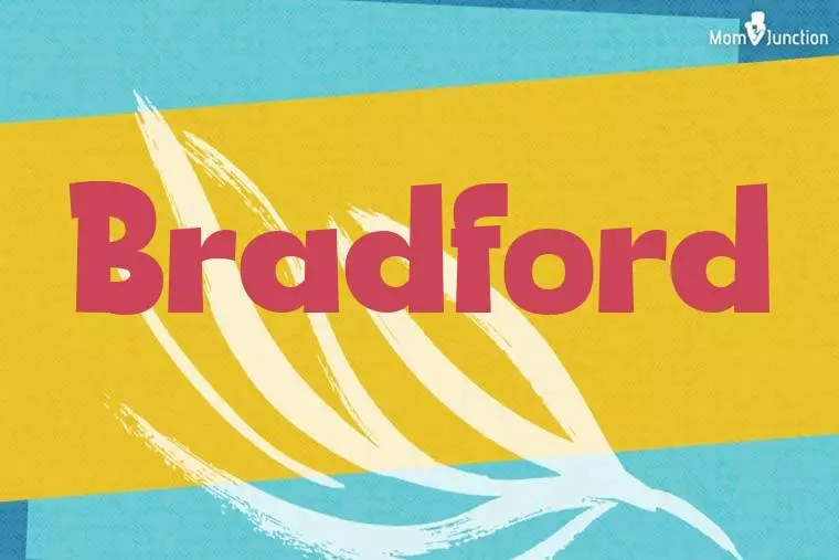 Bradford Stylish Wallpaper