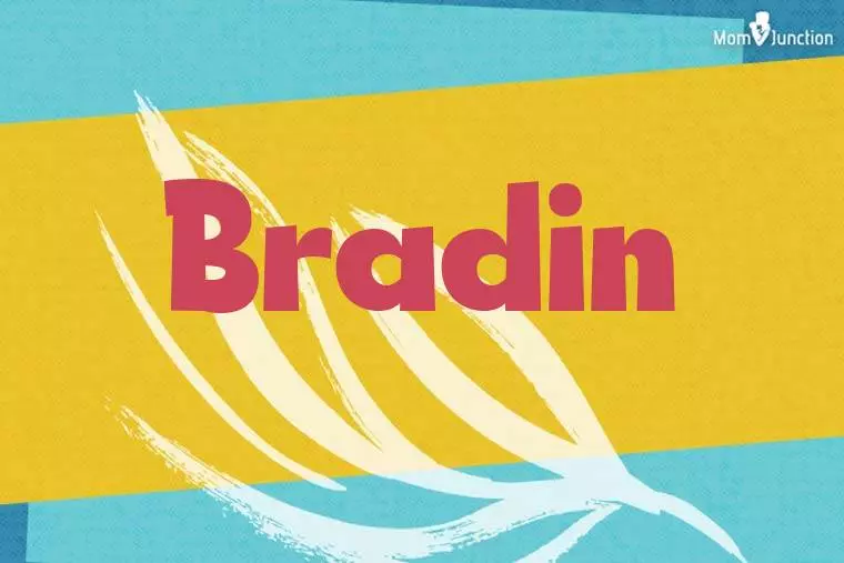 Bradin Stylish Wallpaper