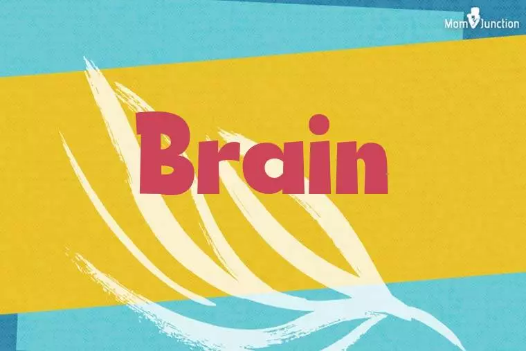 Brain Stylish Wallpaper