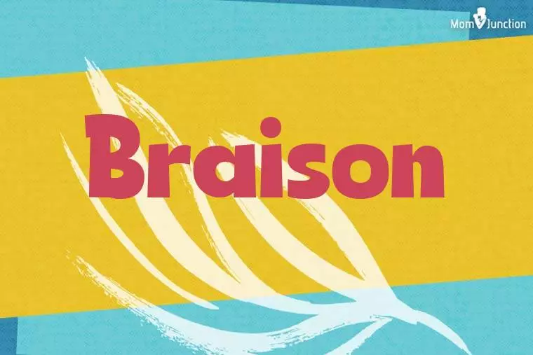 Braison Stylish Wallpaper