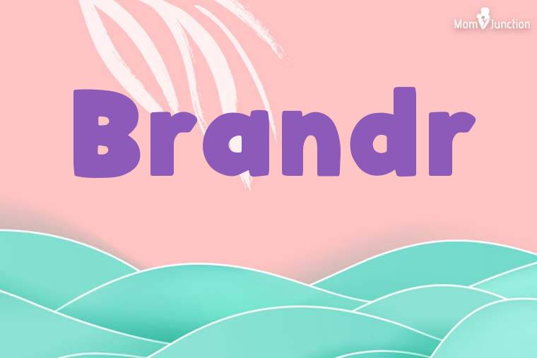 Brandr Stylish Wallpaper