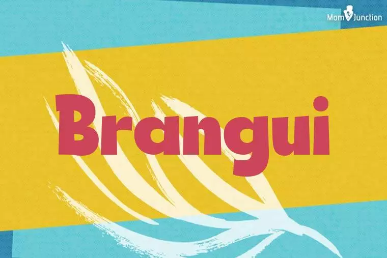 Brangui Stylish Wallpaper