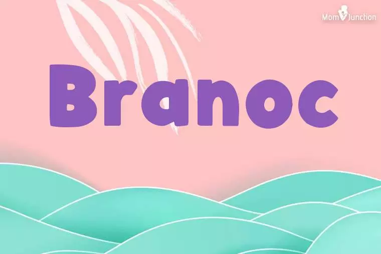 Branoc Stylish Wallpaper