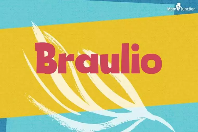 Braulio Stylish Wallpaper