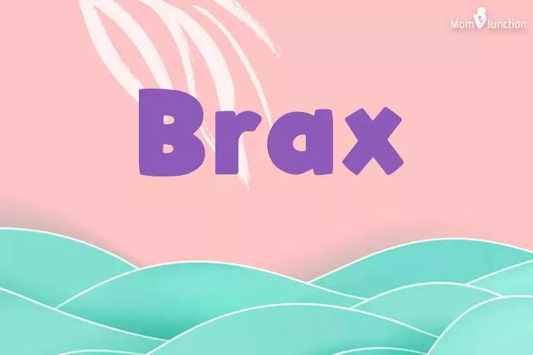 Brax Stylish Wallpaper