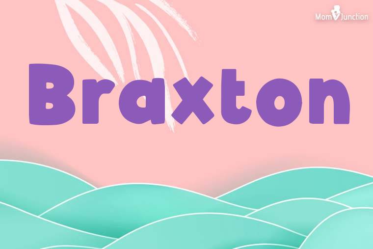 Braxton Stylish Wallpaper