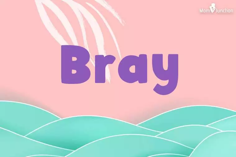 Bray Stylish Wallpaper