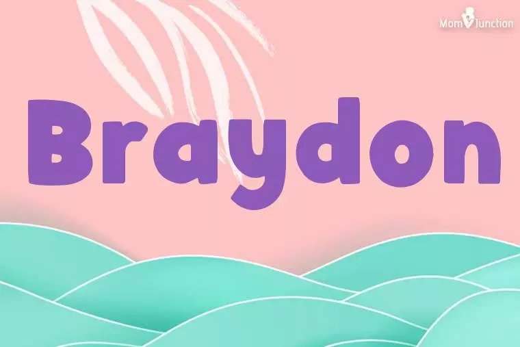 Braydon Stylish Wallpaper