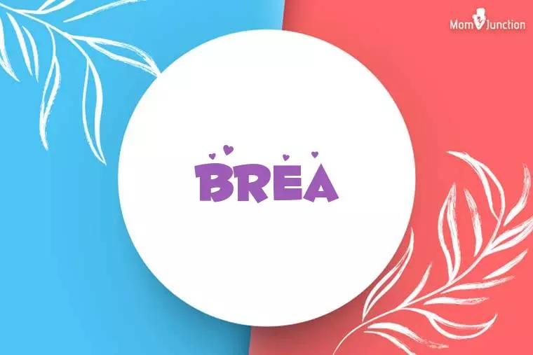 Brea Stylish Wallpaper