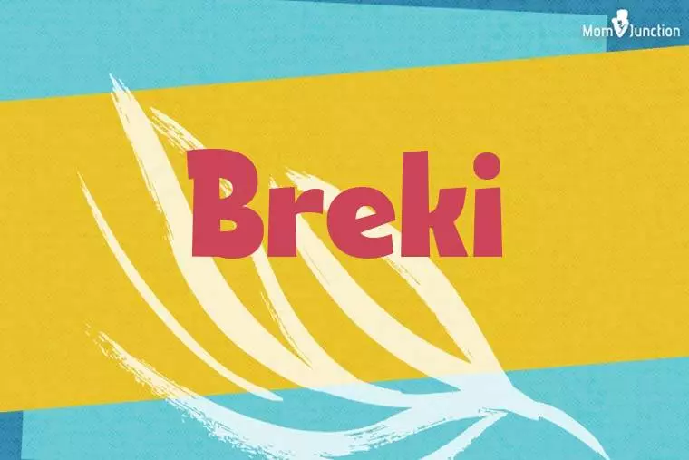 Breki Stylish Wallpaper