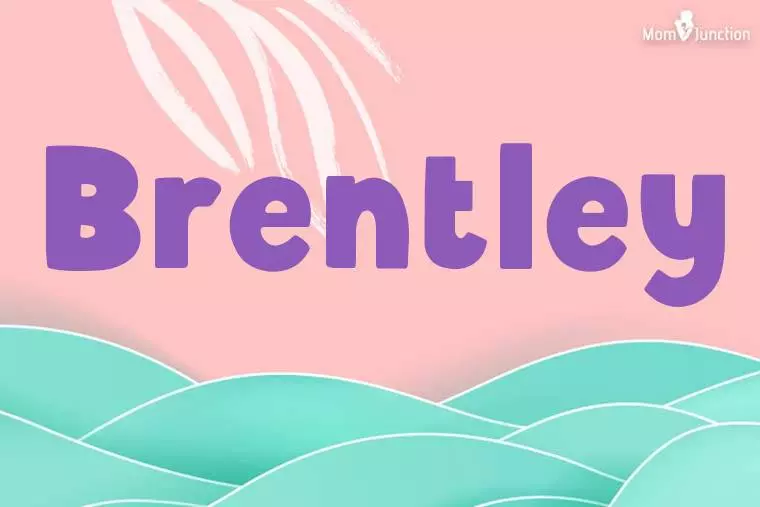 Brentley Stylish Wallpaper